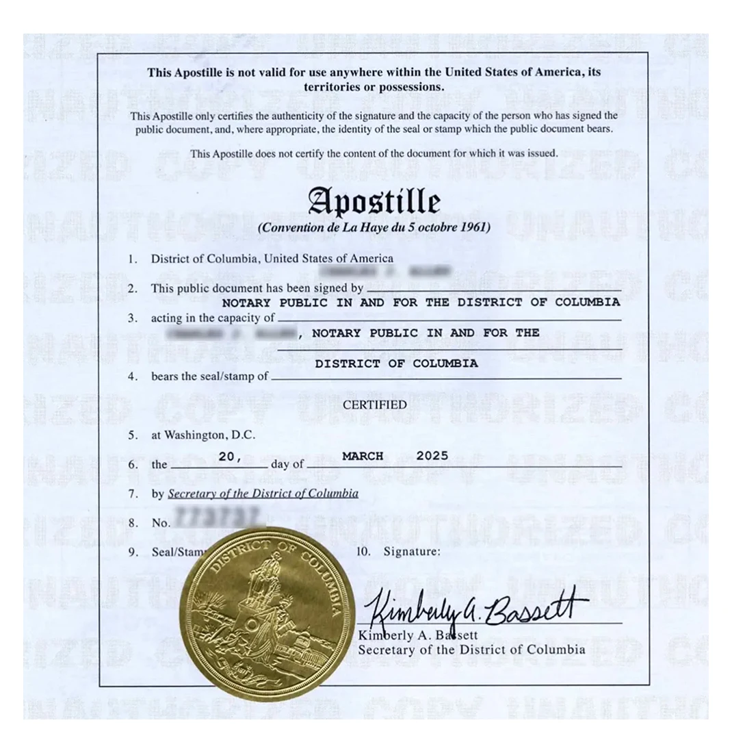 Case 6